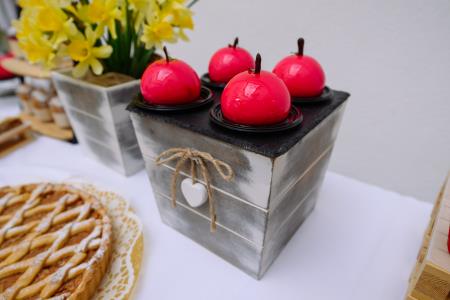 otvoritev grad Podsreda, 26.3.2025_Izidor Kotnik (123)